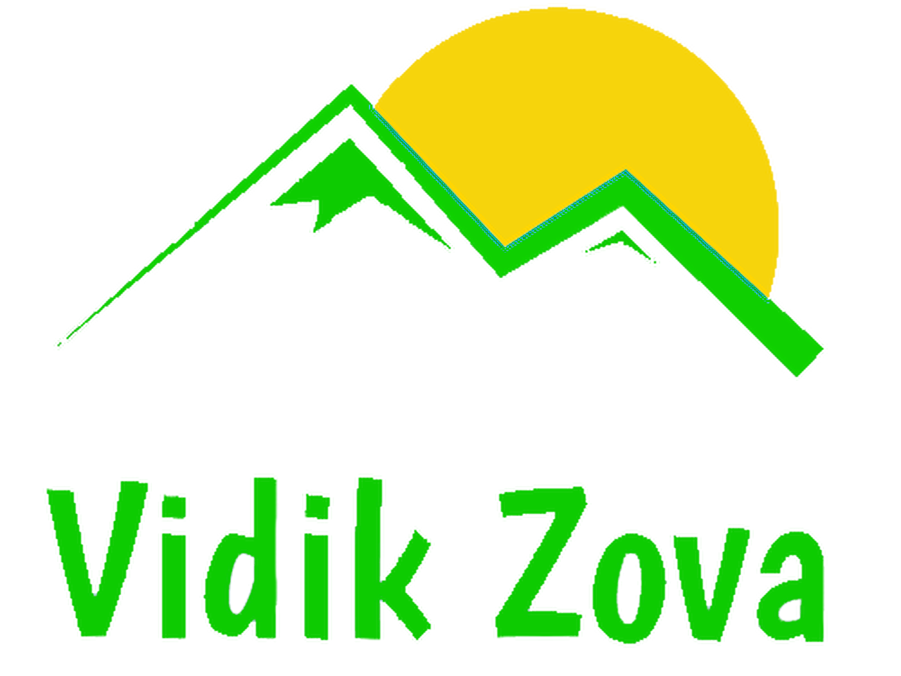 logo vidik zova.png