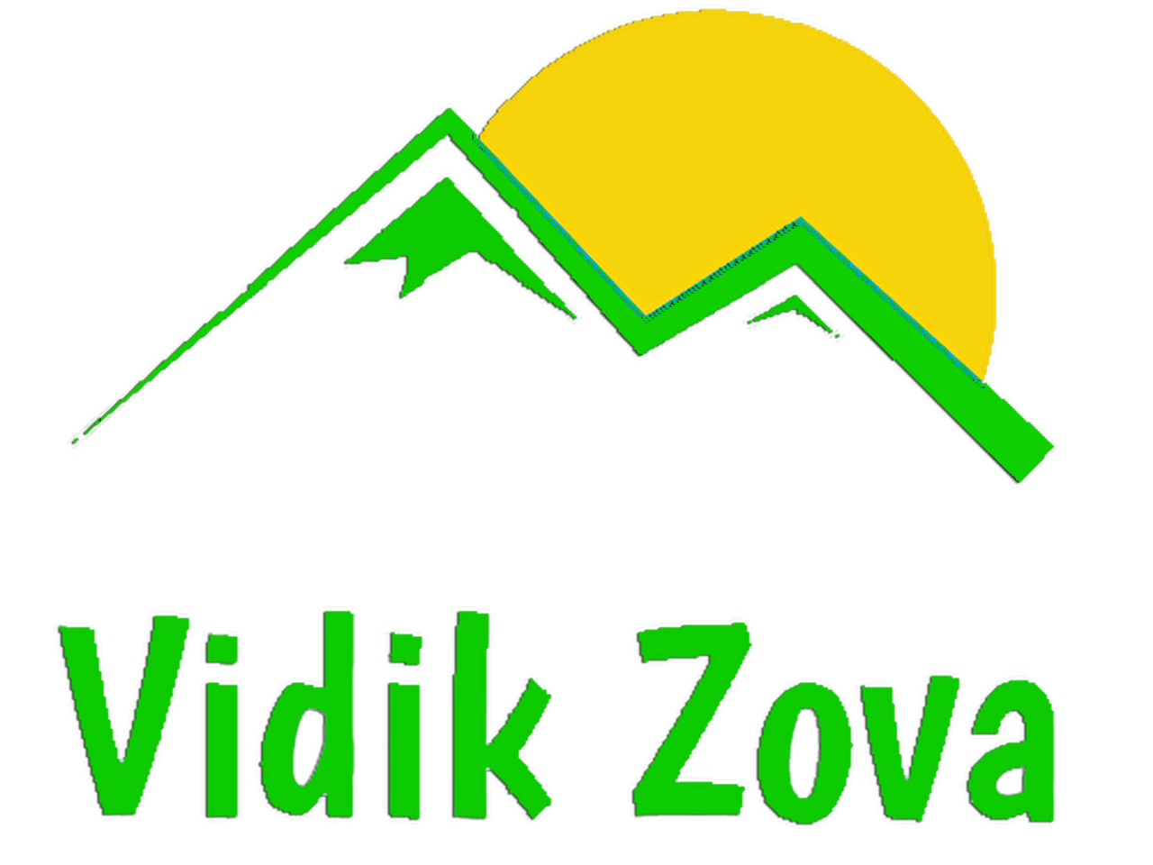 logo vidik zova1.png